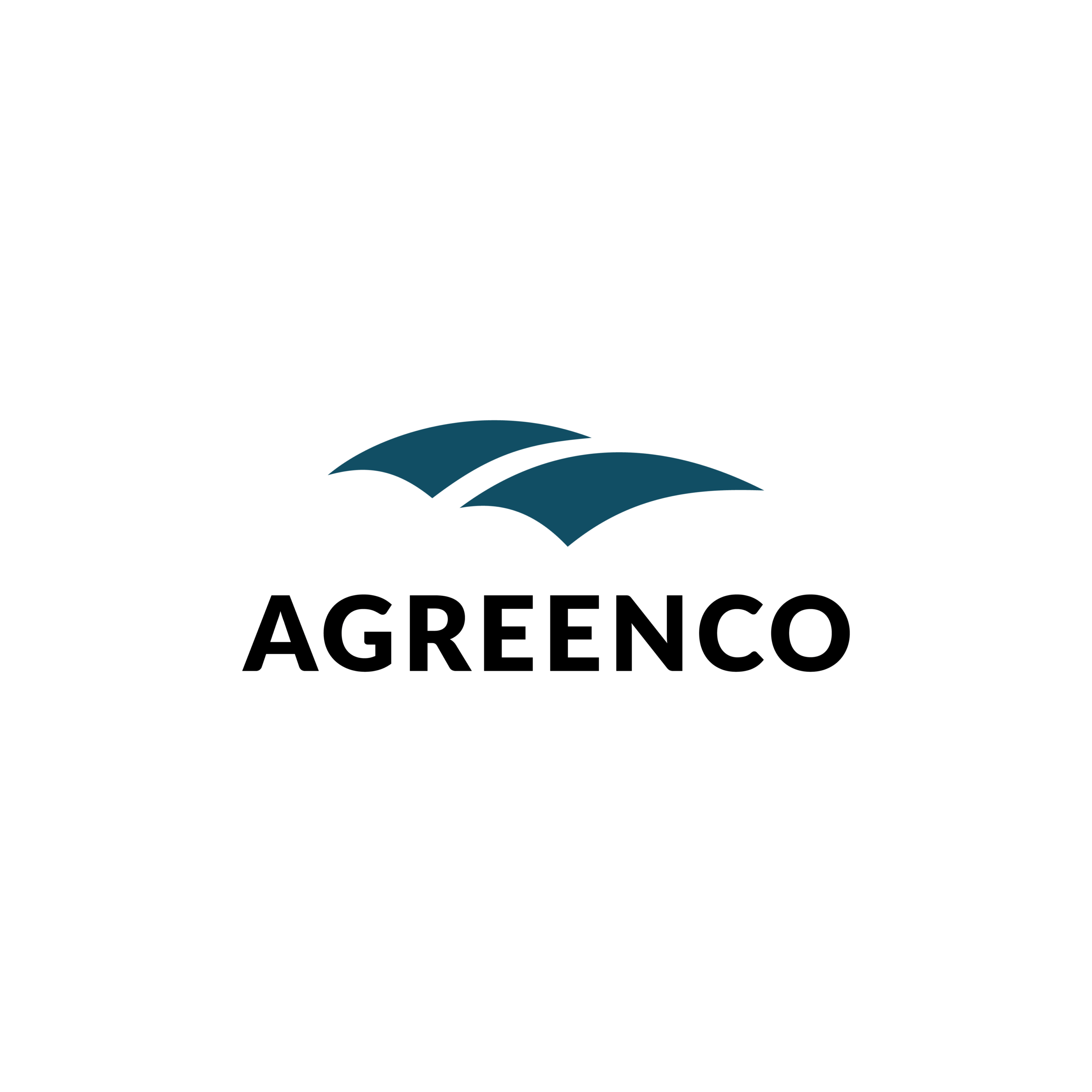 Primary Logo (PNG)
